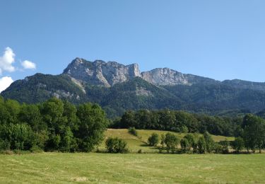 Trail Walking Montaud - BOUCLE MONTAUD DE T DE MOIRANS - Photo