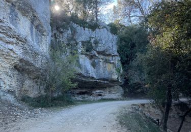 Percorso sport Cuges-les-Pins - OK CORAIL - Photo