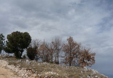 Tour Zu Fuß Gorga - Gorga-Croce di Sprone Maraoni - Photo