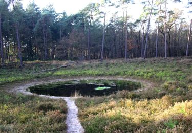 Tour Zu Fuß Steenwijkerland - WNW WaterReijk - Woldsberg - gele route - Photo