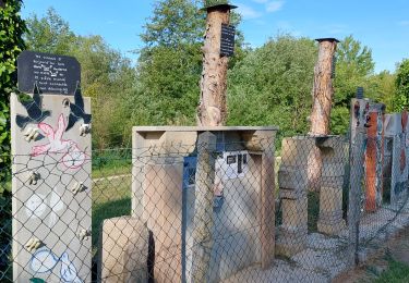 Trail Walking Saint-Martin-d'Abbat - Saint Martin d'Abbat - Photo