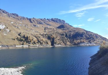 Tocht Te voet Livinallongo del Col di Lana - Teriol Ladin - Photo