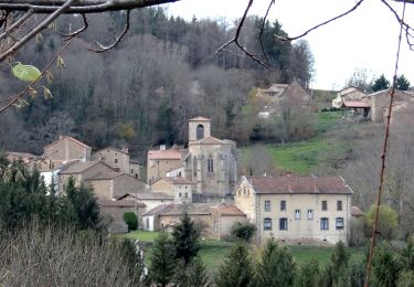 Trail Walking Ceilloux - Ceilloux_Bost - Photo