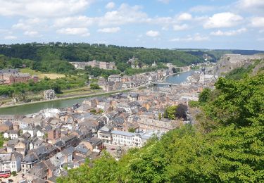 Excursión Senderismo Dinant - Balade à Dinant - Photo