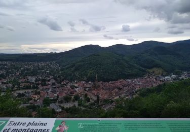 Tour Wandern Thann - Thann Molkenrain - Photo