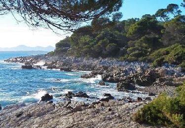 Tour Wandern Antibes - Le tour du Cap d'Antibes - Photo