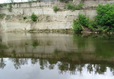 Randonnée Marche Mur-sur-Allier - Mezel Étang des plançons - Photo