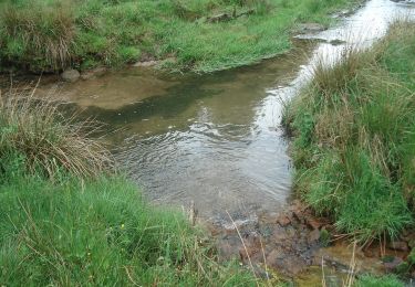 Trail On foot Rothenbucher Forst - Ortswanderweg Rothenbuch 3 - Photo