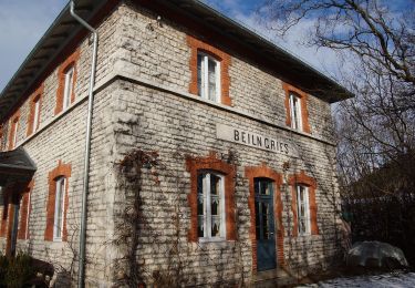 Tocht Te voet Beilngries - Arzberg-Meile - Photo