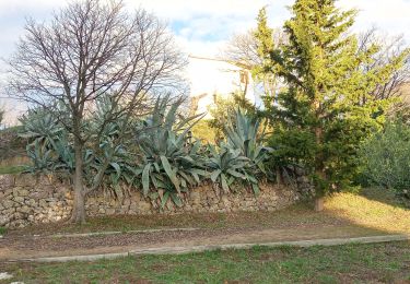 Tour Wandern Flayosc - flayosc font roux - Photo