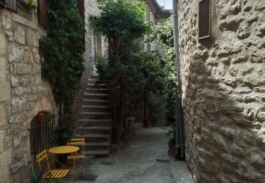 Tour Wandern Les Matelles - Les Matelles variante  - Photo