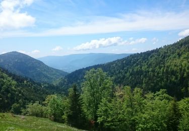 Trail Walking Arvière-en-Valromey - Chalet d'Arvières - Photo