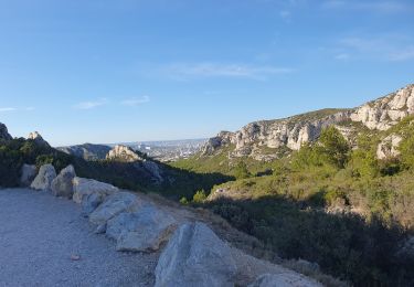 Excursión Senderismo Marsella - Calanque Sormiou - Photo