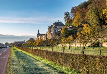 Trail Walking Bassenge - debalisage wonck kanne - Photo