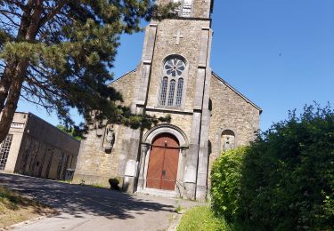 Trail Walking Mettet - Bossiere St Gérard 010621 - Photo