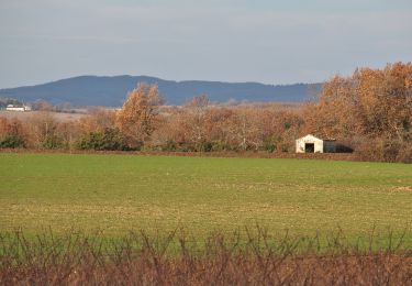 Excursión Senderismo Villeneuve-sur-Vère - Boucle Villeneuve-sur-Vere/Roumanou - Photo