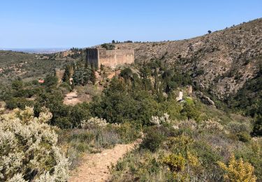 Tocht Stappen Castelnou - 20210328 Castelnou-Camelas- boucl - Photo