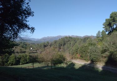 Trail Walking Prades - 231011 Prades - Photo
