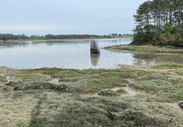 Trail Walking Guilvinec - Le Guilvinec-Pont l abbé  - Photo