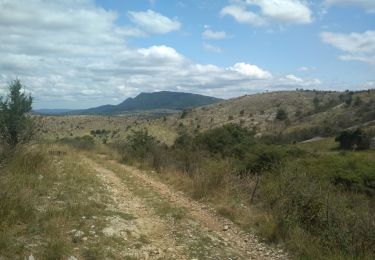 Trail Walking Blandas - serre des trois prieurs - Photo