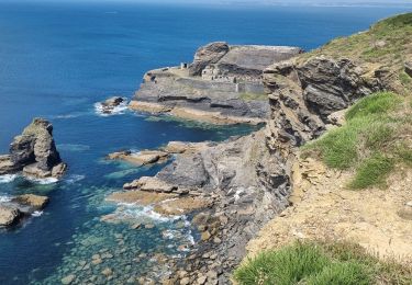 Tour Wandern Roscanvel - la pointe des espagnols Camaret 29 CA 26 MAI 2023 - Photo