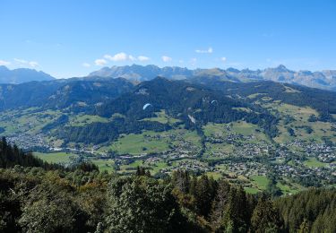 Percorso A piedi Megève - Rochebrune - Mègeve - Photo