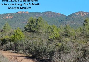 Tour Wandern Puget-sur-Argens - La Lieutenante Le tour des étangs - Sce St Martin - Anc. Meulière - Photo