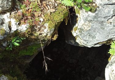 Excursión Senderismo Roquefort-la-Bédoule - Roquefort la Bédoule-Tête du Douard-Gorges de la petite Ste Baume - Photo