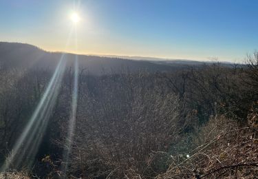 Tocht Stappen La Chaux-du-Dombief - Les cascades du hérisson randonneur  - Photo