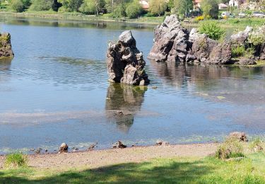 Tour Wandern Aydat - LAC DE LA CASSIERE - Photo