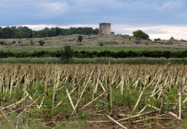 Tocht Stappen Saint-Chaptes - Rome-16-StChaptes-LaCalmette-20150903 - Photo
