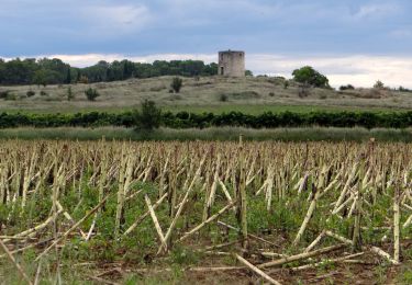 Tour Wandern Saint-Chaptes - Rome-16-StChaptes-LaCalmette-20150903 - Photo