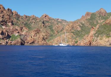 Tour Motorboot Piana - Grand tour Scandola Piana Girolata - Photo