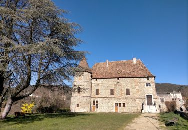 Randonnée Marche Saint-Laurent-du-Pape - 07 Saint-Laurent-du-Pape château de Pierre Gourde - Photo