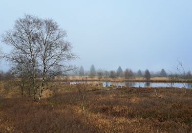 Tour Wandern Weismes - Fagne Brackven - Photo