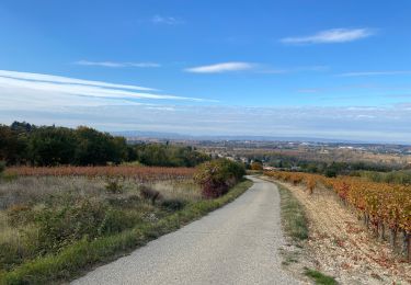 Tocht Mountainbike La Baume-de-Transit - Gravel - La Baume / Gigondas - Photo