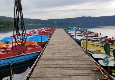 Percorso Marcia Nickenich - Promenade autour du Laacher See - Photo