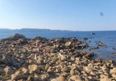 Tour Wandern Serra-di-Ferro - balade pointe de Porto pollo - Photo