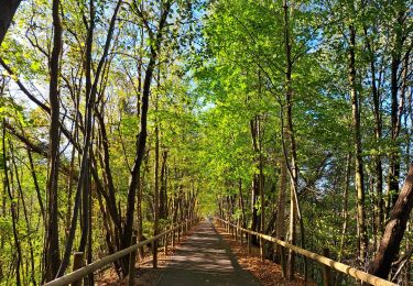 Tocht Fiets Spa - Van Spa naar Trois-Ponts met de fiets langs de RAVeL  - Photo