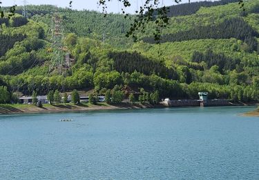 Tocht Stappen Stavelot - Coo Tour lac - Photo