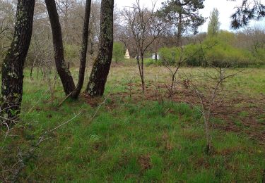 Tour Wandern Saint-Médard-en-Jalles - Dehes  - Photo