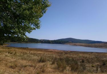 Tour Wandern Bréau-Mars - lac des pises - Photo