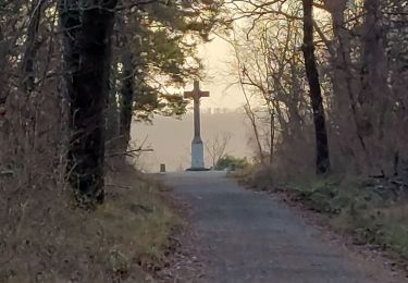 Trail Walking Fontainebleau - Circuit des Fontaines et Tour Denecourt - Photo