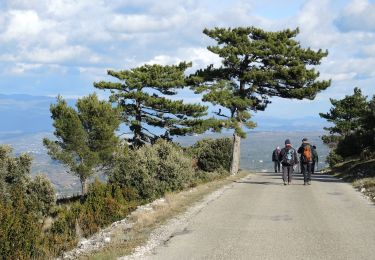 Trail Walking Bonnieux - PF-Bonnieux - De la Sanguinette à la Roque des Bancs - Photo