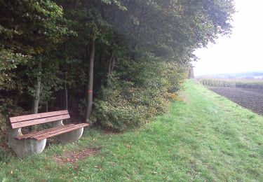 Tour Zu Fuß Stemshorn - Gelbe Route - Stemweder Berg - Photo