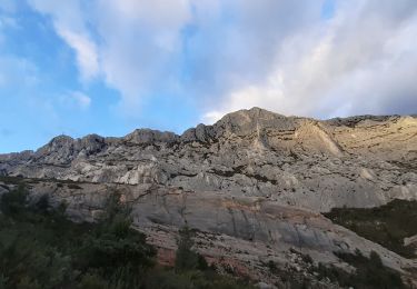 Tocht Stappen Saint-Antonin-sur-Bayon - Oppidum Utinos - Photo