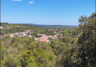 Trail Walking Saint-Paul-et-Valmalle - Sur les hauteurs de Saint-Paul-et-Valmalle - Photo