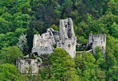 Tour Zu Fuß  - Grgosova špilja - Slani dol - Photo