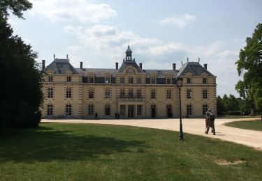 Randonnée Marche Nandy - Autour de la Forêt de Rougeau B - Photo