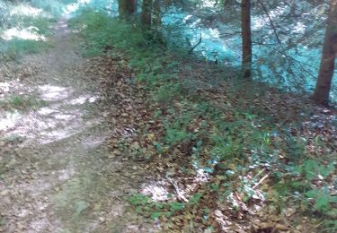 Trail Walking Contrexéville - Ccontrex-Bulgnéville-Contrex - Photo